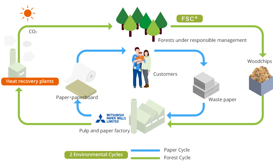 2 Environmental Cycles