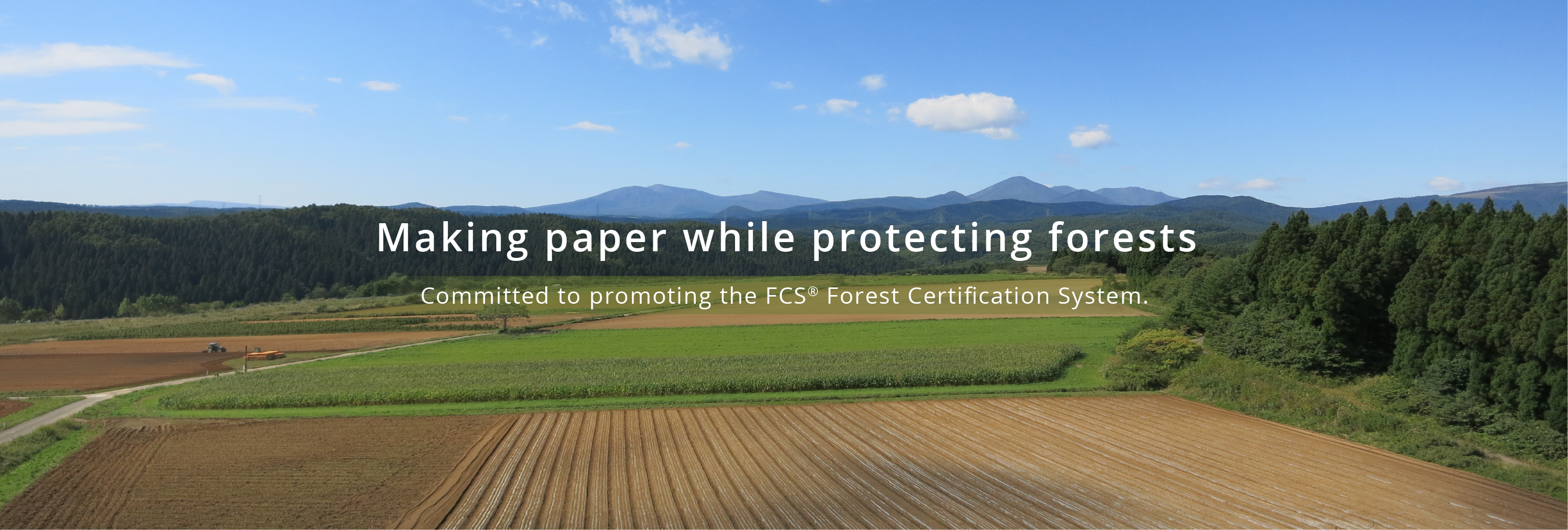 Making paper while protecting forests