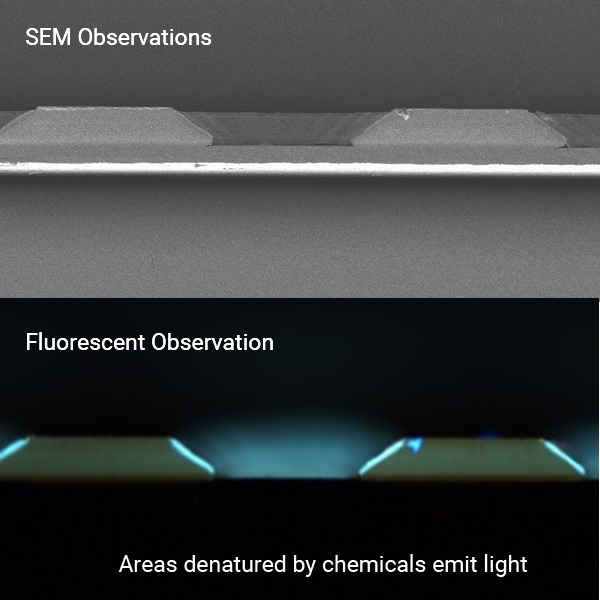 Detection of modified sites in polyimide resin